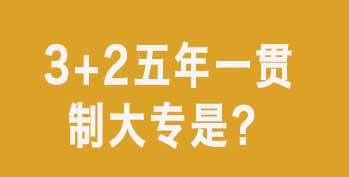 3+2����һ���ƴ�ר��ʲô���п����������ѧ��ѡ