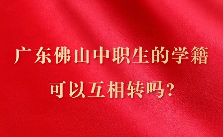 2024㶫ɽְѧԻת?